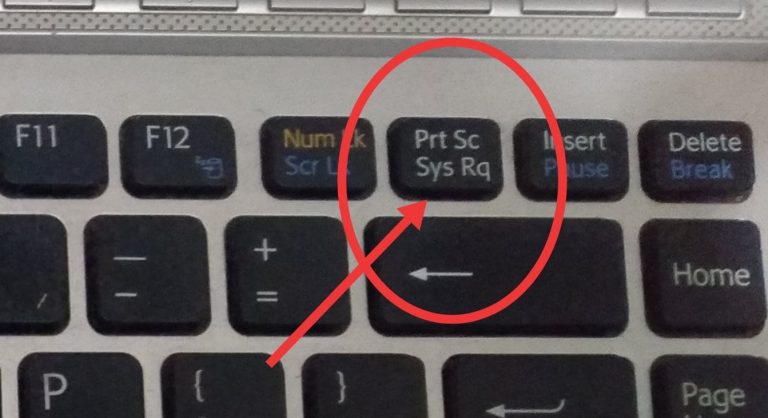 How to Screenshot on Laptop- 2 Easy Process