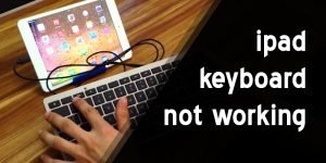 Ipad keyboard not working | Here are the solutions.